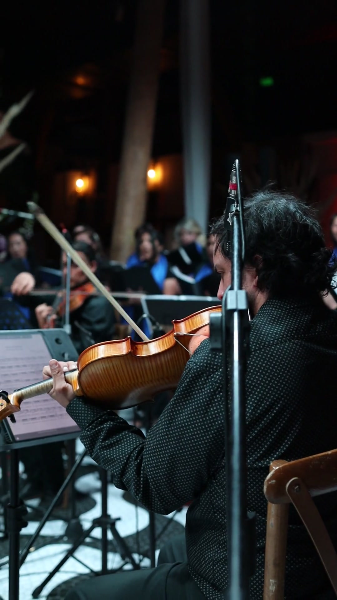 Mozart Chile — Galería 5